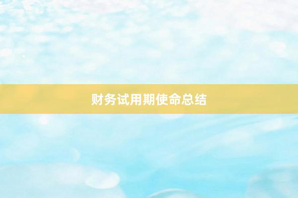 财务试用期使命总结