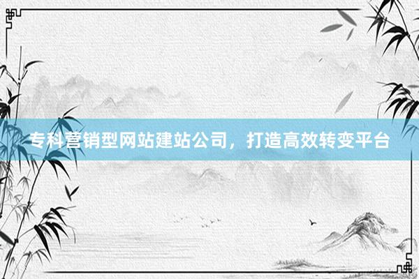 专科营销型网站建站公司，打造高效转变平台