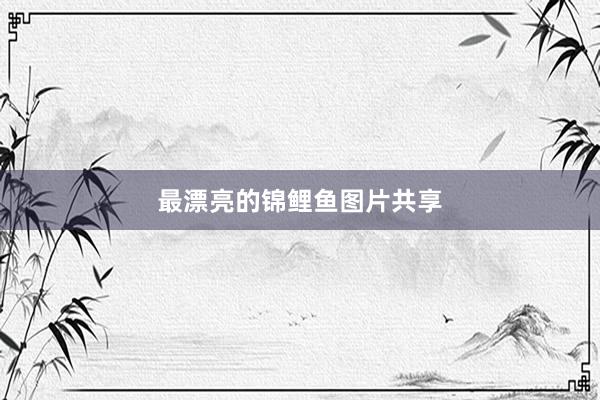 最漂亮的锦鲤鱼图片共享