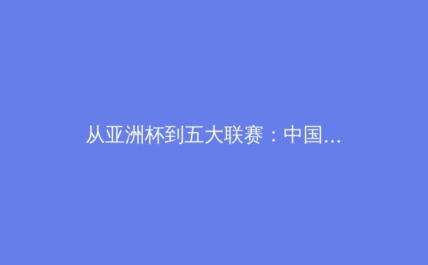 从亚洲杯到五大联赛：中国足球的困境与欧洲青训体系的启示 - 3